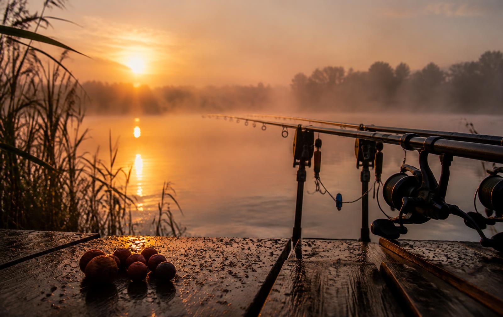 Carp rods and boilies on a misty lake at dawn